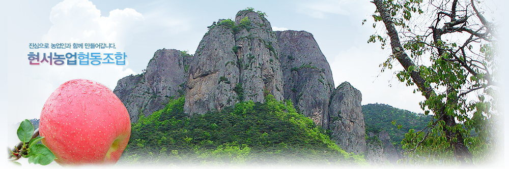 û�� ���������������