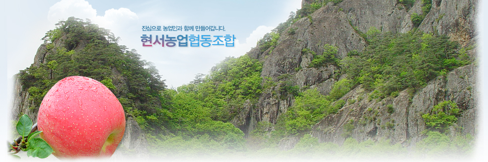 û�� ���������������