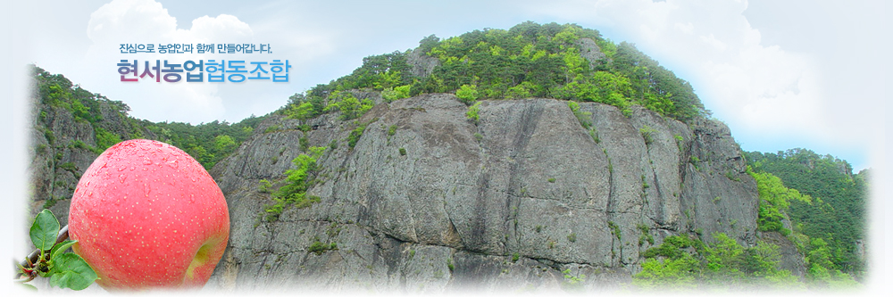 û�� ���������������