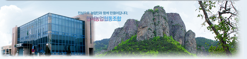 �������� ����ΰ� �Բ� ����� ���ϴ�. ���������������