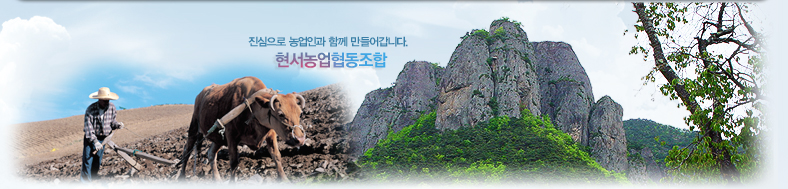 �������� ����ΰ� �Բ� ����� ���ϴ�. ���������������