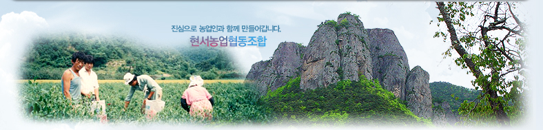 �������� ����ΰ� �Բ� ����� ���ϴ�. ���������������