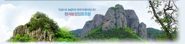 �������� ����ΰ� �Բ� ����� ���ϴ�. ���������������